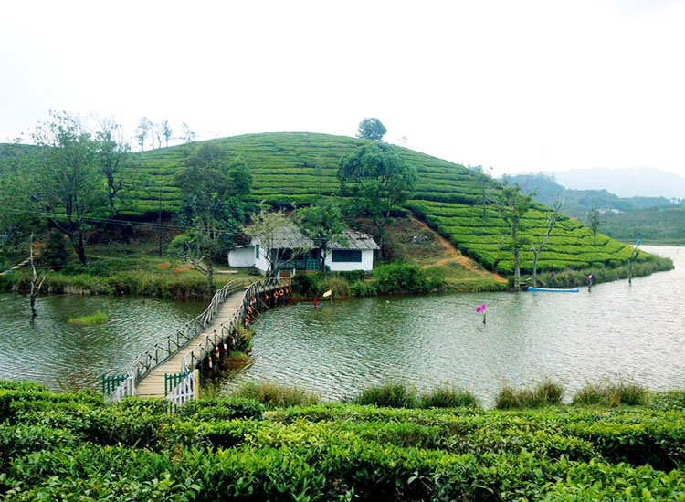 vagamon travel blog