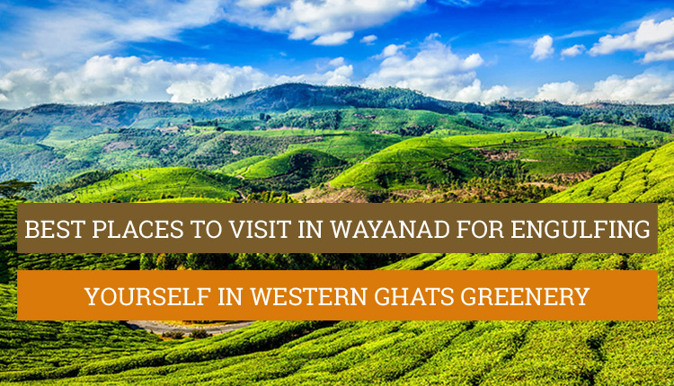 places to visit in wayanad in june